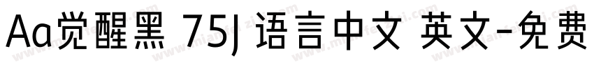 Aa觉醒黑 75J 语言中文 英文字体转换